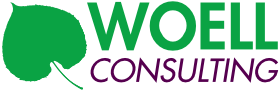 Woell-Consulting